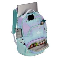 High Sierra - BTS 2020 Swoop SG Backpack - Ombre Purple / Blue - Back View
