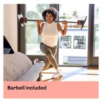 BowFlex - SelectTech 2080 Barbell with Curl Bar - Black - Back View