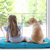 Costway - Adjustable 14-Position Folding Floor Chair - Peacock Blue - Back View