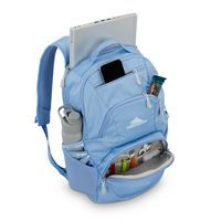 High Sierra - BTS 2020 Swoop SG Backpack - Cornflower Blue - Back View
