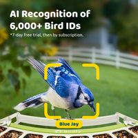 Birdfy Smart Bird Feeder with Camera, Durable Metal Bird Feeders for Outdoors, AI Identify Bird S... - Back View