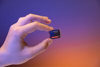 WD - BLACK SN770M 2TB Internal SSD PCIe Gen 4 x4 M.2 2230 for ROG Ally and Steam Deck - Back View