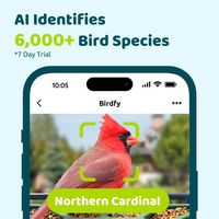 BIRDFY - 2 Smart Bird Feeder with Camera, AI Bird Recognition, Weatherproof, Eco-Friendly Design ... - Back View