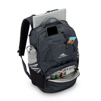 High Sierra - BTS 2020 Swoop SG Backpack - Mercury - Back View