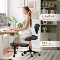 Pinmoco Ergonomic Cross-Legged Swivel Chair, Adjustable Height Meditation Chair with Back Support... - Back View