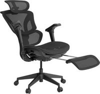 ACGAM - Ergonomic Mesh Gaming Chair with 4D Adjustable Armrest, High Back Office Chair with Lumba...