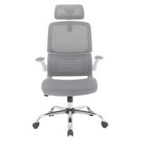 OSP Home Furnishings - Mesh Back Manager’s Chair with Flip Arms and 2-Way Adjustable Headrest - G...