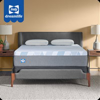 Sealy - Sealy&#174; Dreamlife™ 12” Foam Mattress-in-a-Box, Full - White