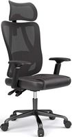 ACGAM - Ergonomic Mesh Office Chair, High Back Gaming Chair w/ Lumbar Support, 1D Adjustable Armr... - Large Front