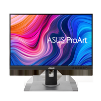 ASUS - ProArt PA248QV 24.1