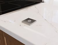 Zephyr - Wired Remote Up Down Switch Control for Treviso Downdraft - Stainless Steel - Large Front