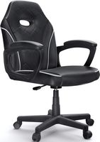 ACGAM - Slim Gaming Chair, Ergonomic Office Chair with Superior PVC Leather, 360° Swivel and Heig... - Large Front