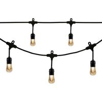 Enbrighten - Café Vintage Series LED Lights (48 feet/24 bulbs) - Black - Large Front