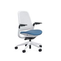 Steelcase - Series 1 Air Chair with Seagull Frame - Era Cobalt / Seagull Frame - Large Front