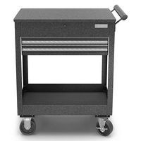 Gladiator - Rolling Tool Chest 2 Drawer - Silver Tread - Large Front