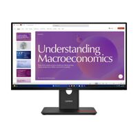 Lenovo - ThinkVision 23.8