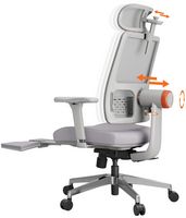 Newtral - Ergonomic High Back Mesh Office Chair - Gray - Large Front