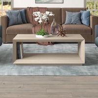 Camden&Wells - Gemma Coffee Table - White Wash - Large Front