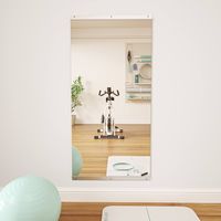 LOVMOR - Polished 24 in. W x 48 in. Modern Rectangular Tempered Glass Wall Mirror - silver - Left View