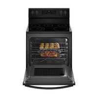 Whirlpool - 5.3 Cu. Ft. Freestanding Electric Range - Black - Left View