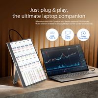 ASUS - ZenScreen 15.6