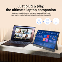 ASUS - ZenScreen 16