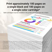 Canon - PG-295 AMR Standard Yield Ink Cartridge - Black - Left View