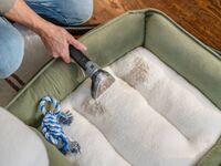 BISSELL - Little Green ProHeat Pet Portable Carpet Cleaner - Wasabi - Left View