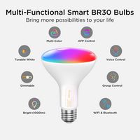 Govee - BR30 1000 Lumens Smart LED Bulb (2-Pack) - Left View