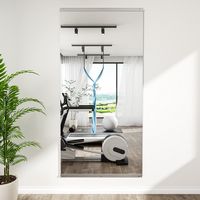 LOVMOR - Polished 30 in. W x 60 in. Modern Rectangular Tempered Glass Wall Mirror - Silver - Left View