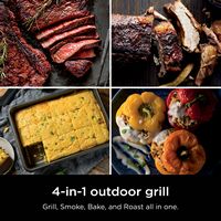Ninja - Woodfire Outdoor Grill & Smoker, 4-in-1 Functionality, Authentic Woodfire Flavors, Electr... - Left View
