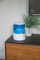 CRANE - 0.5 Gal. Warm Mist Humidifier with 2 Speed Settings - Blue/White - Top View